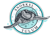 snorkeling tulum